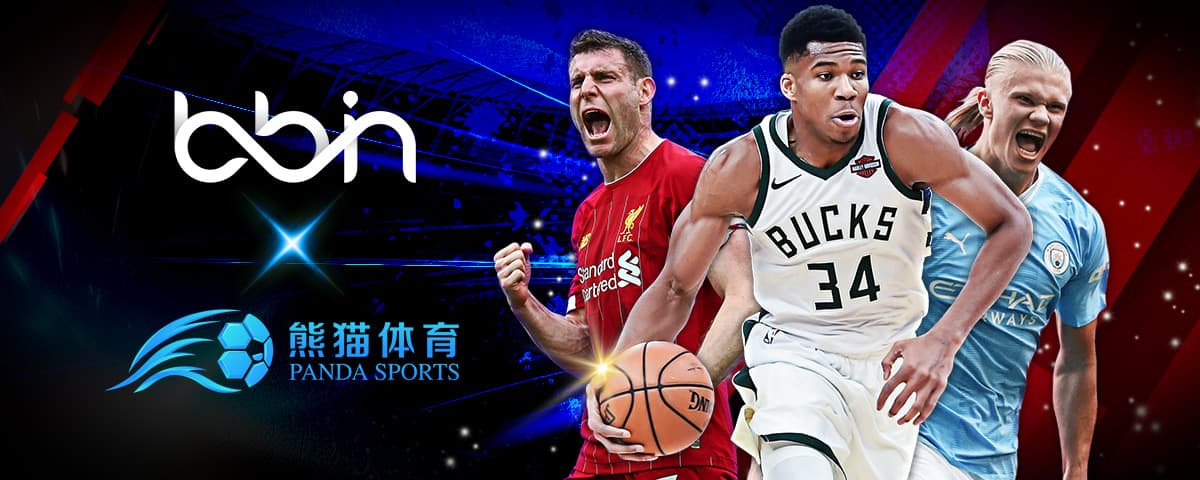 中国冰球的