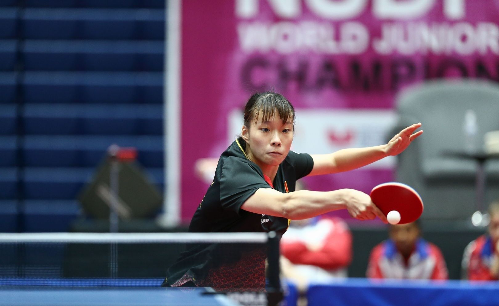 受瞩目的顶 受瞩目的顶